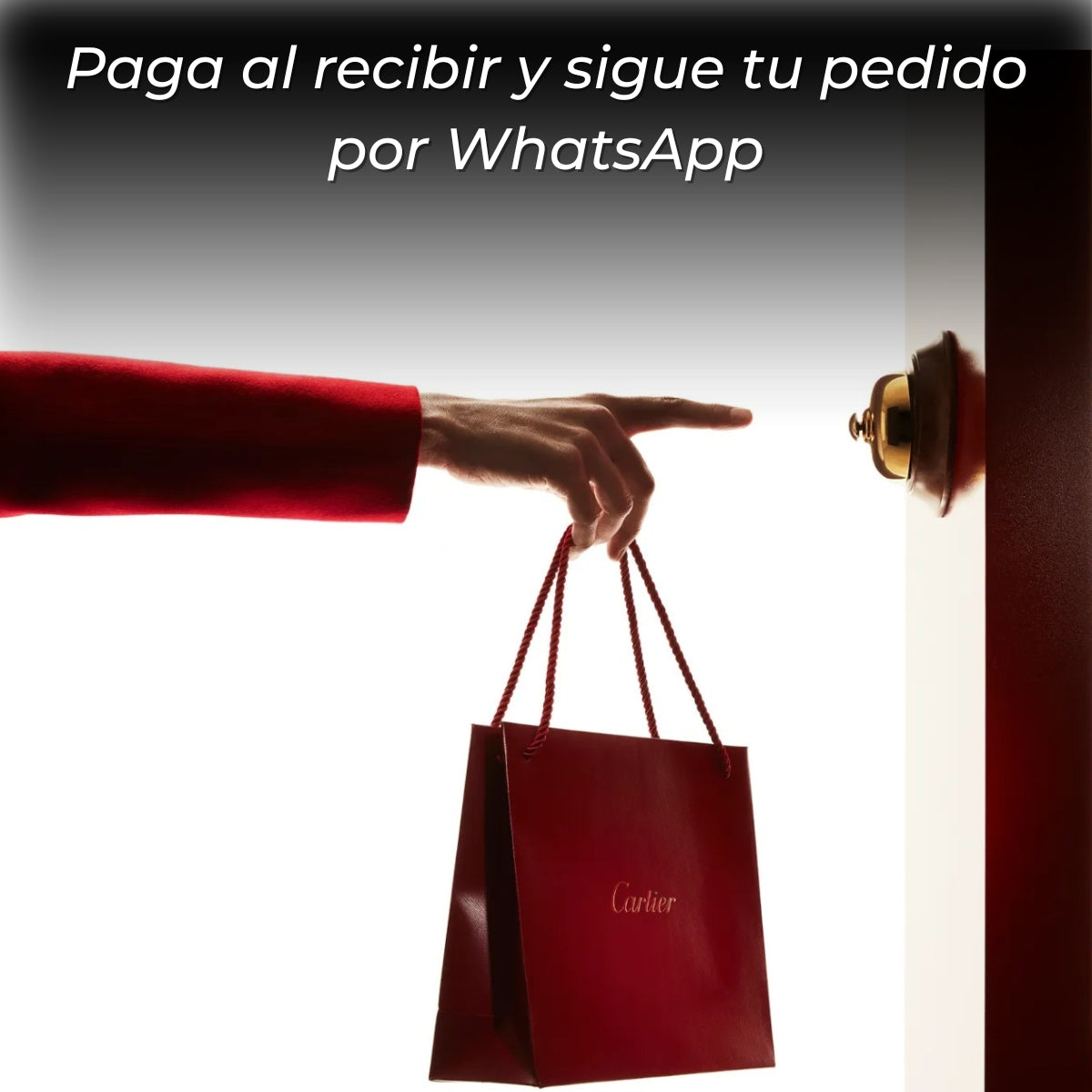 Gafas Panthère de Cartier - UV400 | Lujo Eterno