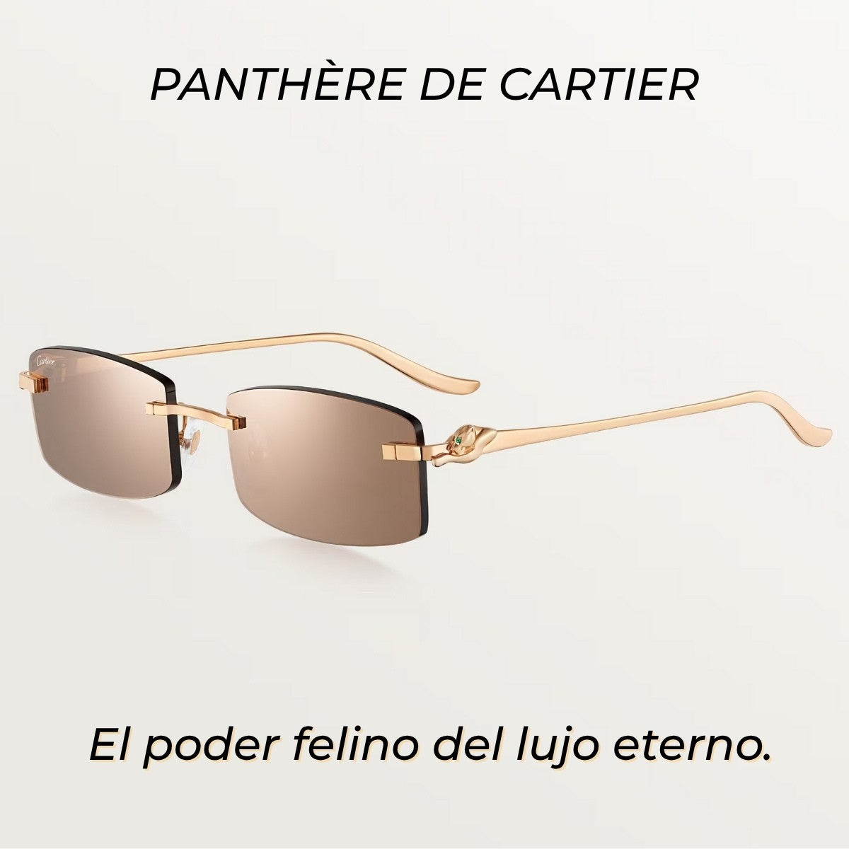 Gafas Panthère CTR - UV400 | Lujo Eterno